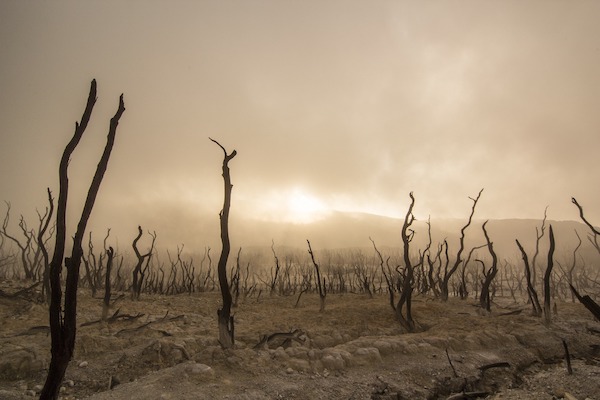 Comment photographier le brouillard